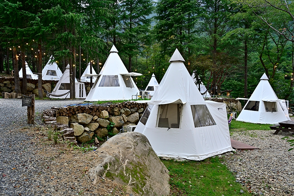 백동소풍가는길